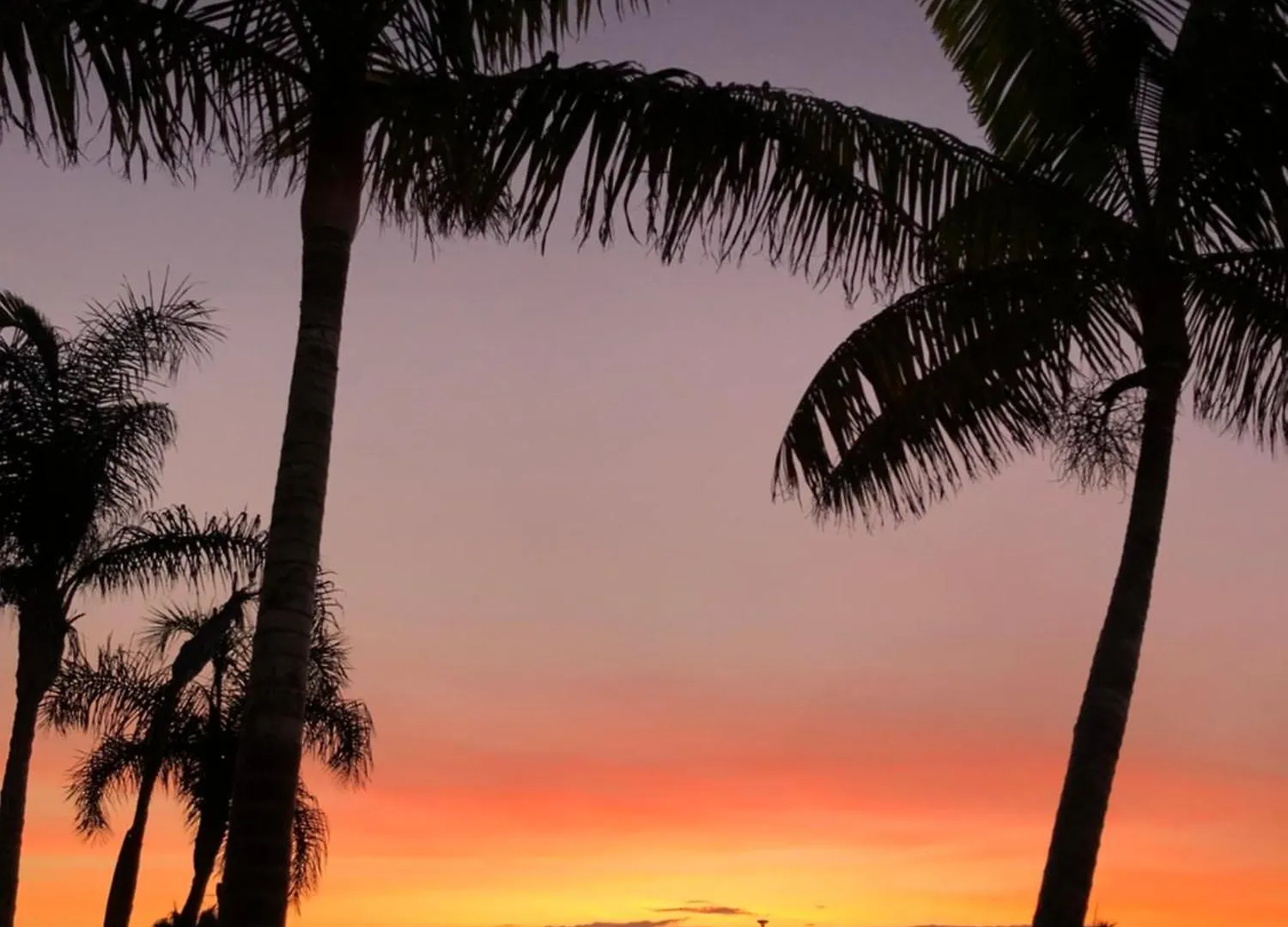 Hotel Servatur Riosol Puerto Rico